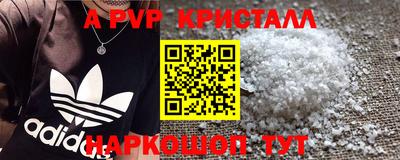 стаф Анжеро-Судженск