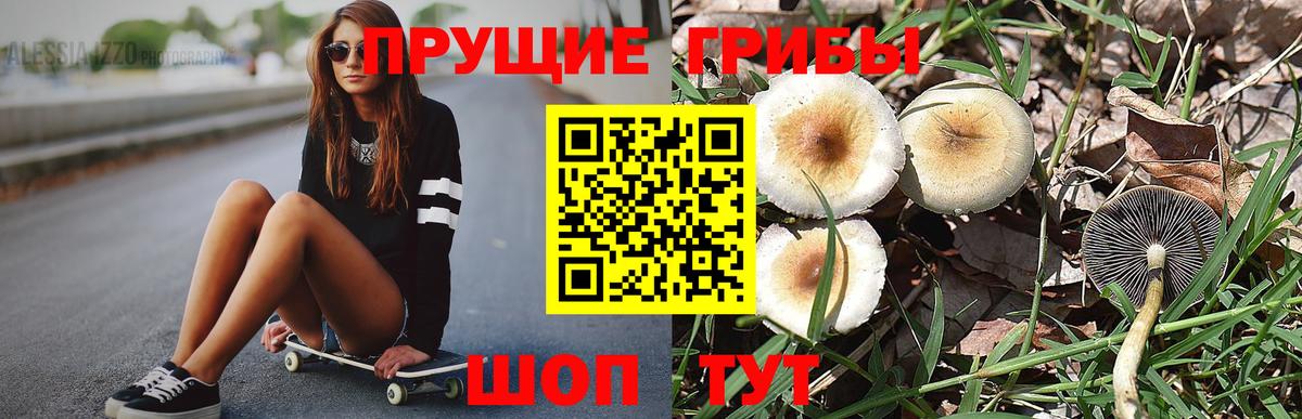Галлюциногенные грибы GOLDEN TEACHER Краснокаменск